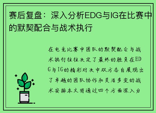 赛后复盘：深入分析EDG与IG在比赛中的默契配合与战术执行