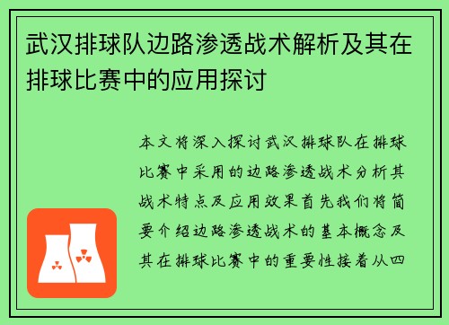 武汉排球队边路渗透战术解析及其在排球比赛中的应用探讨